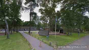 Multiple children left injured after tree falls at outdoor activity centre