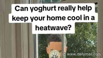 Trying to beat the heat? Scientists claim applying YOGHURT to the outside of your windows can cool your home by as much as 3.5°C