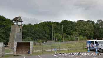 Children injured and one airlifted to hospital after tree falls at activity centre