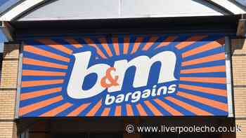 'Protect your suitcase' and 'spot luggage easily' with B&M's £2 accessory