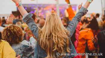 'Bargain' rucksack is a festival favourite and it's not Osprey or Berghaus