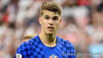 Brighton complete £50m move for Tottenham's teenage centre-back Luka Vuskovic as Roma press ahead for Chelsea misfit Alejandro Garnacho: WINDOW WATCH