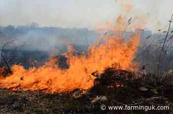 Teenage girls arrested after suspected arson causes £30,000 crop loss