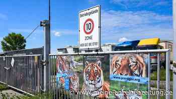 Pfleger nach Tigerangriff nahe Leipzig gestorben