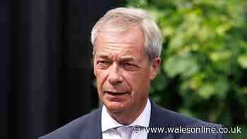 Nigel Farage causes fury over 'vulgar performance' during Ann Widdecombe tribute