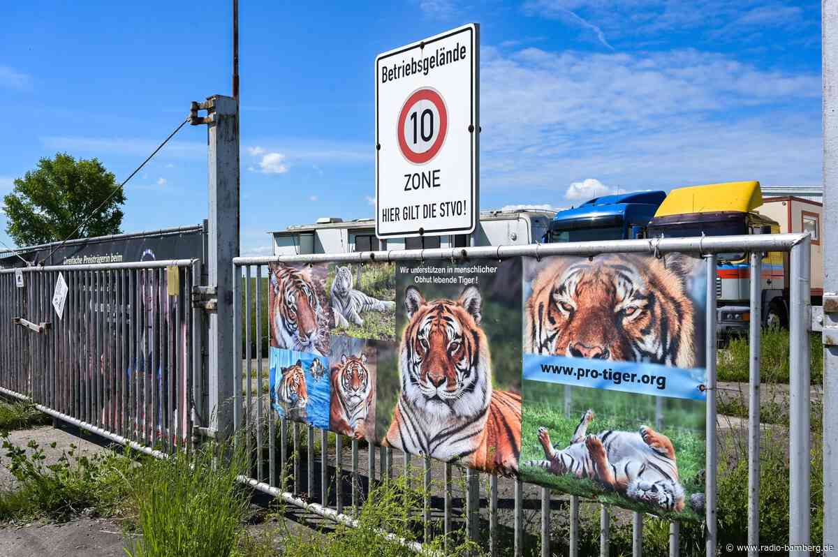 Pfleger zwei Monate nach Tigerangriff nahe Leipzig gestorben