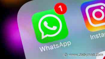 WhatsApp has quietly introduced a new message animation that has left users FURIOUS - as one vents 'there has to be some way to get rid of that'