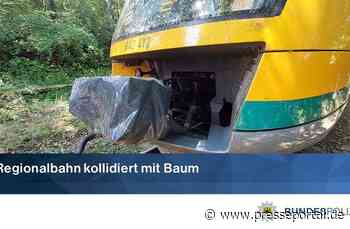 BPOLI LUD: Regionalbahn kollidiert mit umgestürzten Baum