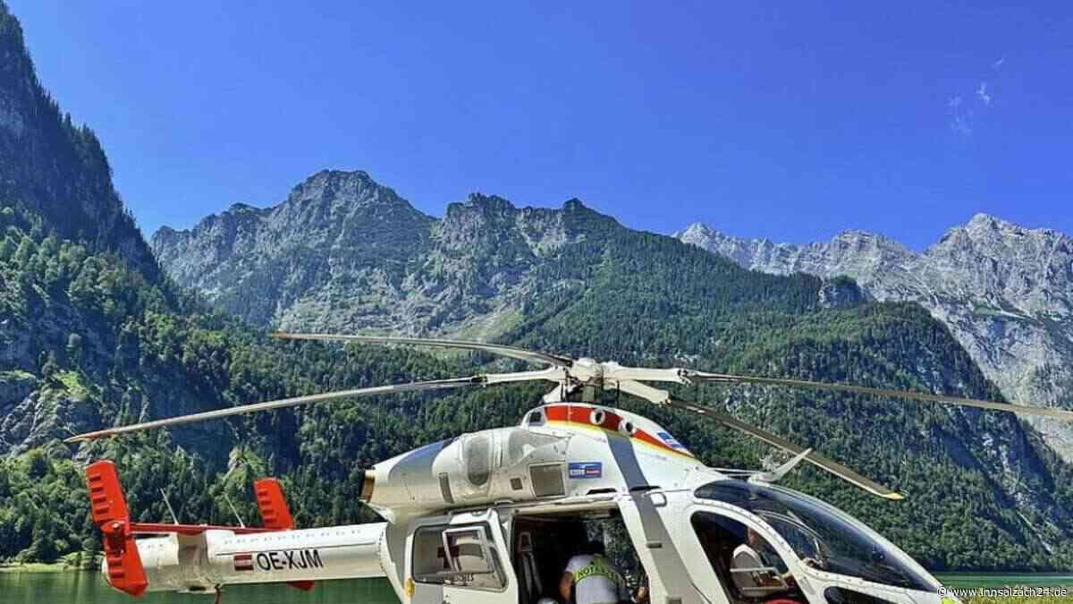 Kuh trifft Frau (58) versehentlich mit Horn: Niederbayerin durch die Luft geschleudert