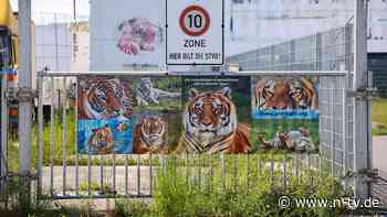 Staatsanwaltschaft ermittelt: Mann zwei Monate nach Tigerangriff in Sachsen gestorben