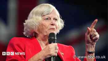 Police continue to question murder suspect over Ann Widdecombe's killing