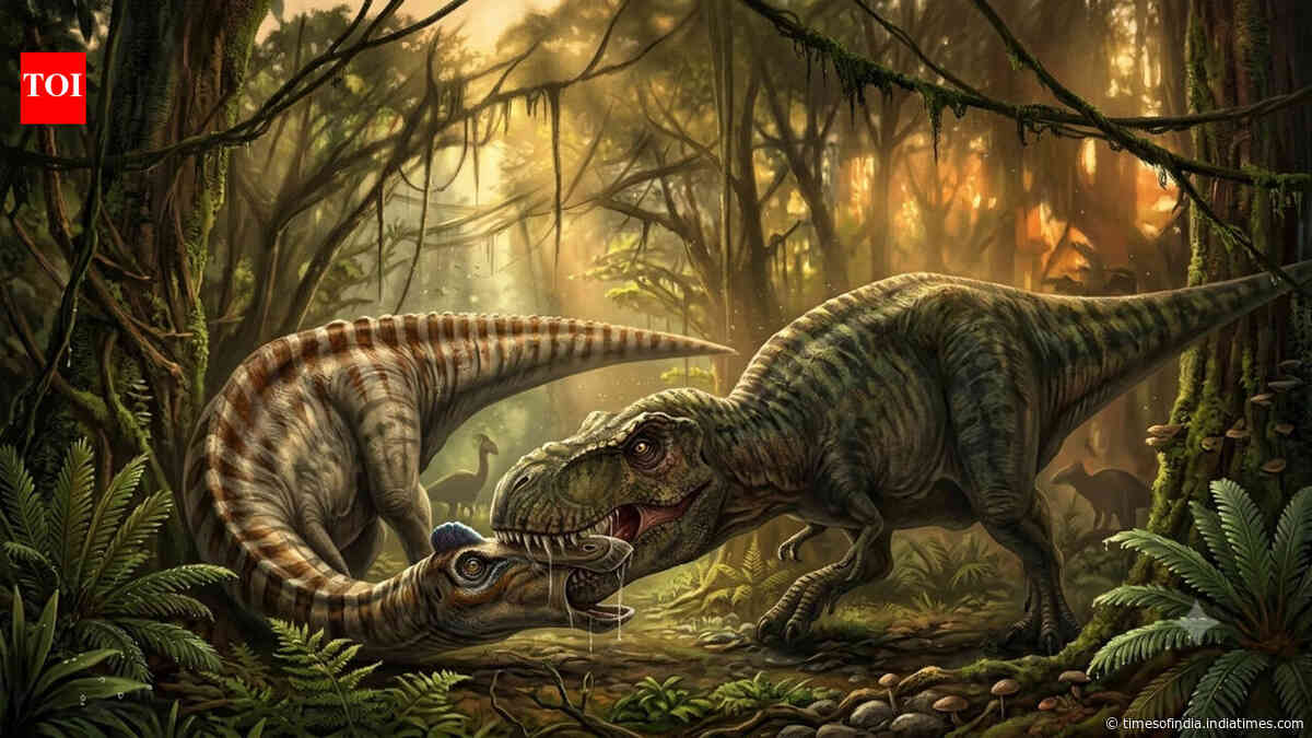 Rare fossil reveals T. rex’s attack style