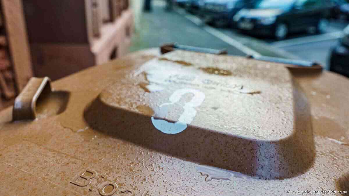 Welche natürlichen Hausmittel gegen Maden in der Biotonne helfen