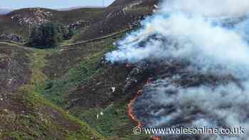 Severe wildfire warning for Wales as mountains continue to bake in 30C heatwave