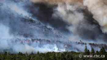 B.C. helicopter pilot killed in Colorado crash while on wildfire duty