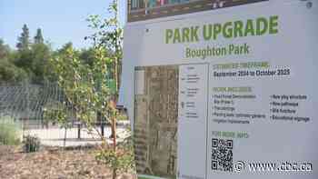 Saskatoon city hall tests food forests to address poverty, insecurity