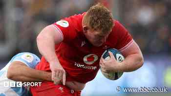 Wales took step back against Pumas - prop Carre