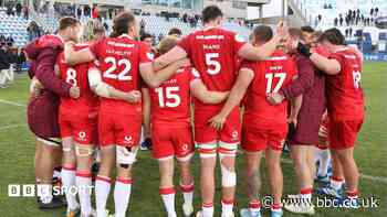 Argentina provide reality check for Wales