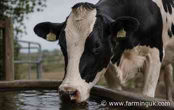 June heat drives 3.1% fall in GB milk deliveries