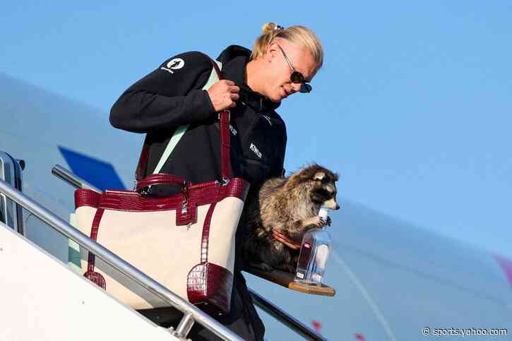 Erling Haaland brings $750 stuffed raccoon back to Norway after World Cup exit