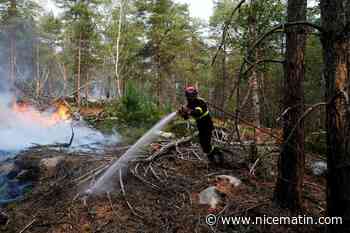 Incendie dans la forêt de Fontainebleau : près de 2.000 hectares parcourus, plus de 800 pompiers mobilisés... on fait le point