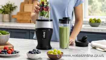 Cheaper than Ninja smoothie maker that 'blends frozen fruits in seconds'