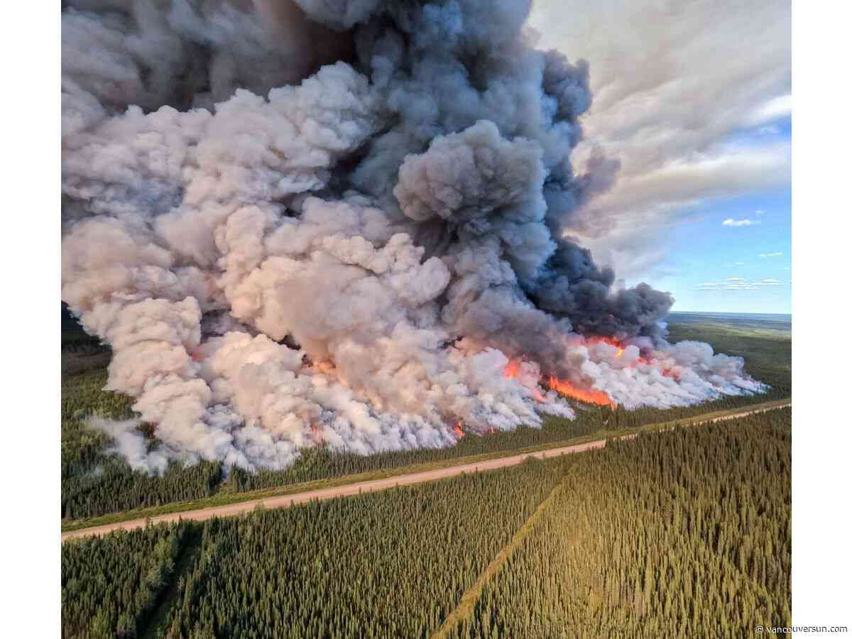 Opinion: Saving our forest industry means addressing the real threat
