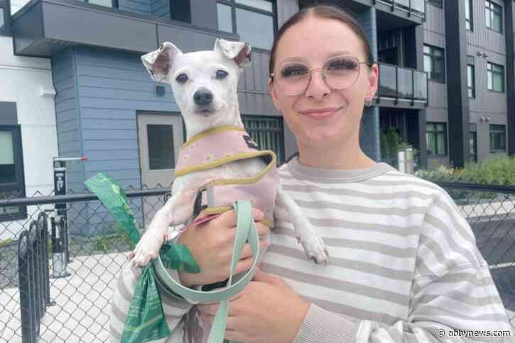 Dog poo DNA matching keeps pet owners honest at Langford condo building