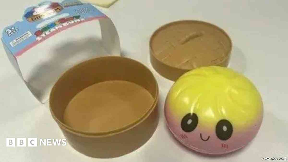 Hundreds of fake 'squishy dumpling' toys seized