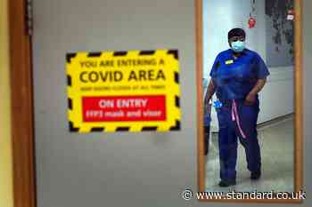 Covid PPE procurement saw ‘vast’ £10bn waste, inquiry finds