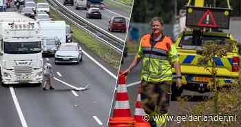Trucker stopt op snelweg en sleept brokstukken weg: online een held, maar Rijkswaterstaat schrikt ervan