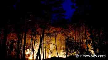 Wildfire of 'exceptional scale' breaks out in forest near Paris