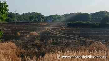 'Frightening' North East wildfire drama as 'flames spread so quickly' to size of 14 football pitches