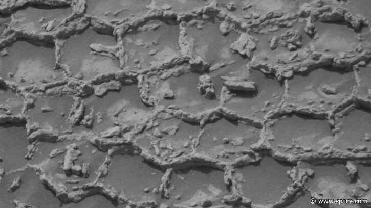 Honeycomb structures spotted on Mars | Space photo of the day for July 14, 2026
