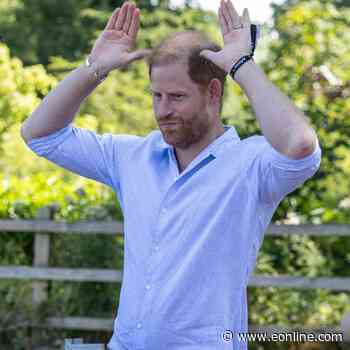 Prince Harry Has Hilarious Mishap With a Goat During Yoga Session