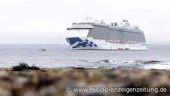 Mann über Bord: Tödlicher Unfall auf Kreuzfahrtschiff vor der Küste Mexikos