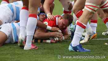 Wales issue Dewi Lake update as Steve Tandy dealt further injury blow