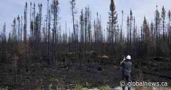 Open-air fire ban lifted in many parts of Quebec
