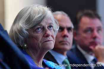 Ann Widdecombe gave interview defending Nigel Farage minutes before killing