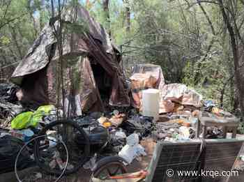 Multiple agencies collaborate on Bosque cleanup initiative
