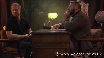 Joe Marler laughs in Prince Harry's face as he insists he's not ginger in chaotic interview