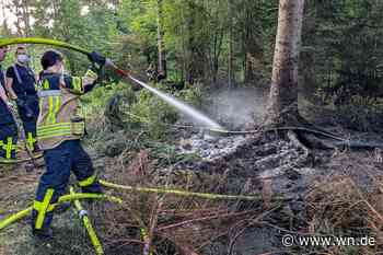Feuer schwelte tagelang: Erst Drohne stöberte Waldbrand in Wolbeck auf