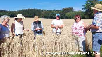 Landwirte im Landkreis Landsberg sind im Klima-Stress