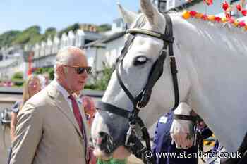 King speaks Manx and French as he visits Isle of Man