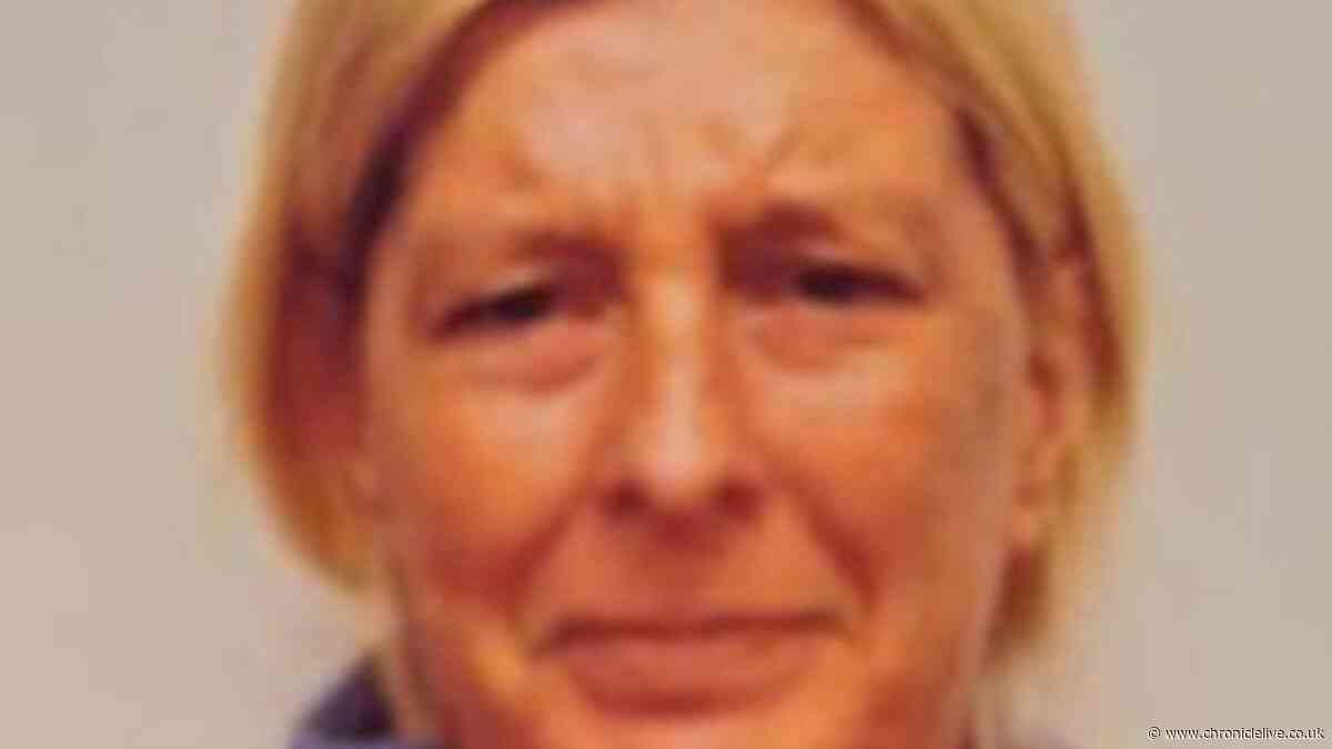Missing Houghton-le-Spring woman last seen in early hours of the morning