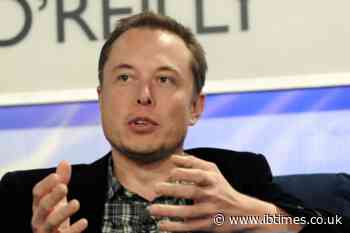 Elon Musk's Baby Mama Ashley St. Clair Feels 'Deep Remorse' for Past Transphobic Comments
