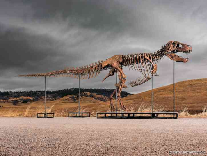 $30 M. T. Rex Sparks Debate Over Fossils Being in Private Collections, Felix Art Fair Announces New Format for 2027, and More: Morning Links for July 14, 2026