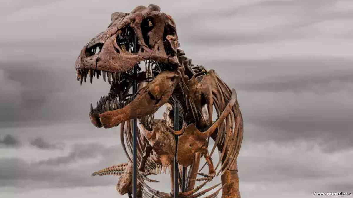 Scientists' fury as 67-million-year-old T. rex skeleton fetches record-breaking £37m - and disappears into private hands