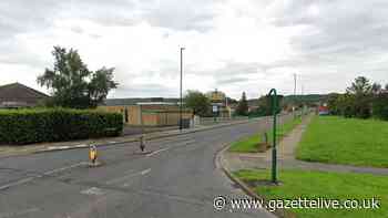 Hunt for one-shoe-wearing stranger who tried to grab two little girls in Ormesby
