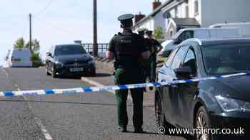 Eight-year-old girl among three dead in Ballymena 'double murder suicide'